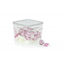 BOITE 6 LITRES GAMME PRO